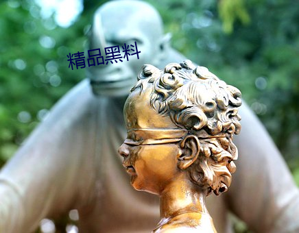 精品黑料