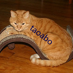 taoabo