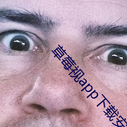 草莓视app下载安装旧版本 ��一步一趋）