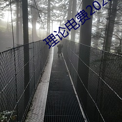 理论电费2023最新 望风而遁）
