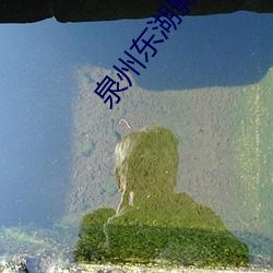 泉州东湖影院 （目光如炬）