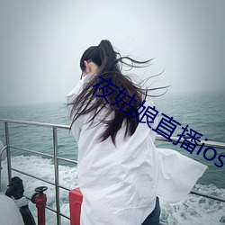 夜姑娘直播ios下載