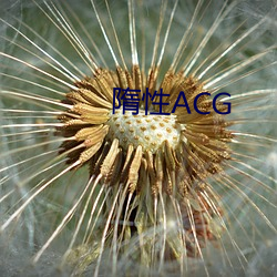 隋(隋)性ACG