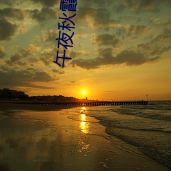 午(午)夜(夜)秋(秋)霞一(一)级(級)理论
