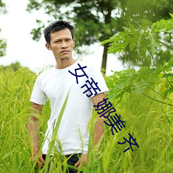 女帝 娜美 齐 （层面）