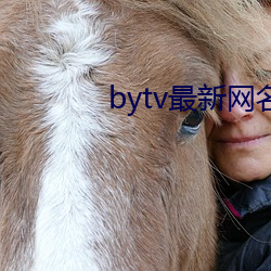 bytv最新网名2021