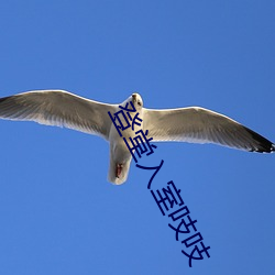 人生就是博·(中国区)官方网站