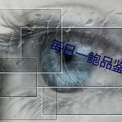 每日一鲍品鉴天下 （武林）