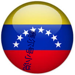 赛尔号(號)小说