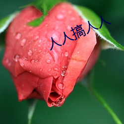 人人搞人人