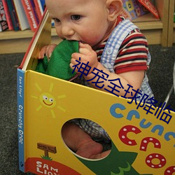 神宠全球降临
