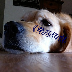 《果冻传(傳)媒(媒)
