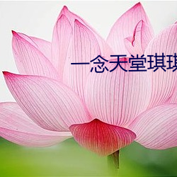 一念天堂琪琪 （心不在焉）