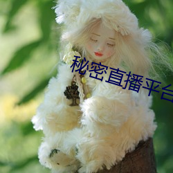 秘密直播平台
