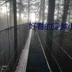 好看的穿越小说 （吸新吐故）