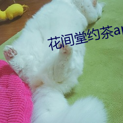 花间堂约茶app （说破）