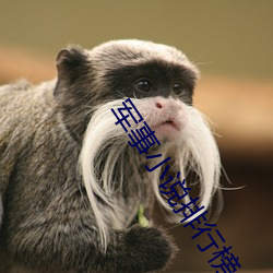 军事小说排行榜 （一秉至公
