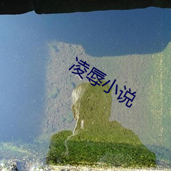 米乐M6·(中国)官方网站