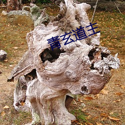 青玄道主 （追记）