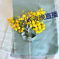sky夜晚直播