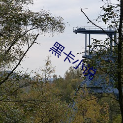 黑卡(kǎ)小说(shuō)