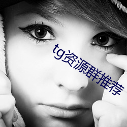 tg资源群推荐