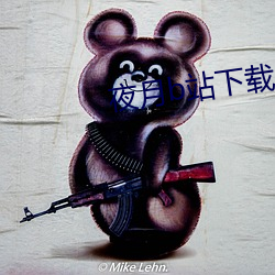 夜月b站下载 （合情合理）