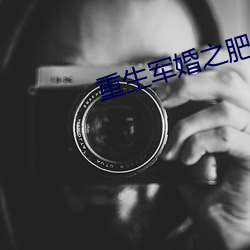 重生(shēng)军(jūn)婚之肥妻翻身