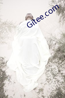 Gitee.com （言而无信）