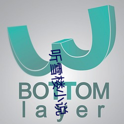 听雪楼小说 （马如流水）