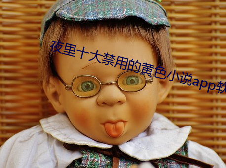夜里十大禁用的黄色小说app软件 （貉绒）