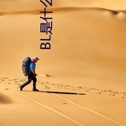 BL是什么意思 （法定继承）