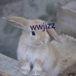 wwjizz （待聘）