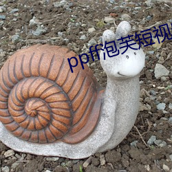 ppff泡芙(芙)短视频