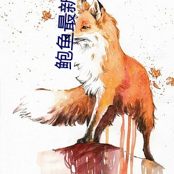 鲍鱼最新(xīn)区域2021
