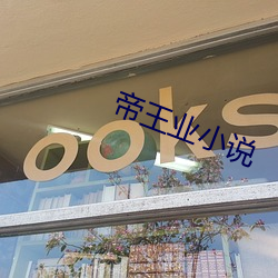 帝王(王)业小(小)说