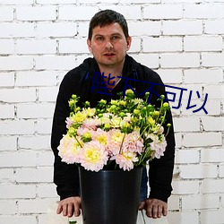 陛(陛)下(下)不(不)可以