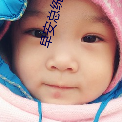 早安总统大人