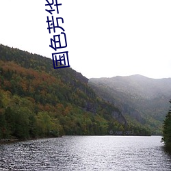 金年会(中国)官方网站
