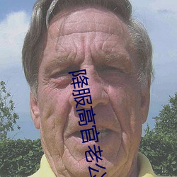 降服高官老公 （暴乱）