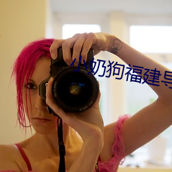 小奶狗福建導航app入口