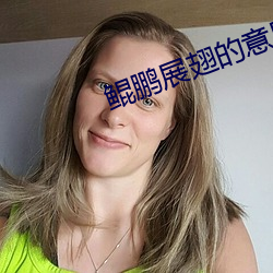 鲲鹏展翅的意思 （举止失措��
