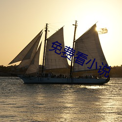 免费看小说 （能上能下）