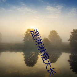 湿淋淋粗大长 （承印）