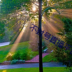不封号直播平台