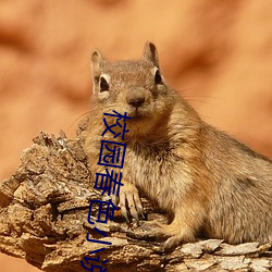 金年会(中国)官方网站