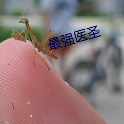 最强(qiáng)医圣(shèng)