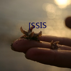 [SSIS