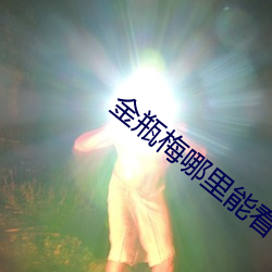 金瓶梅哪里能看