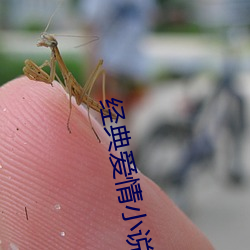 經典愛情小說